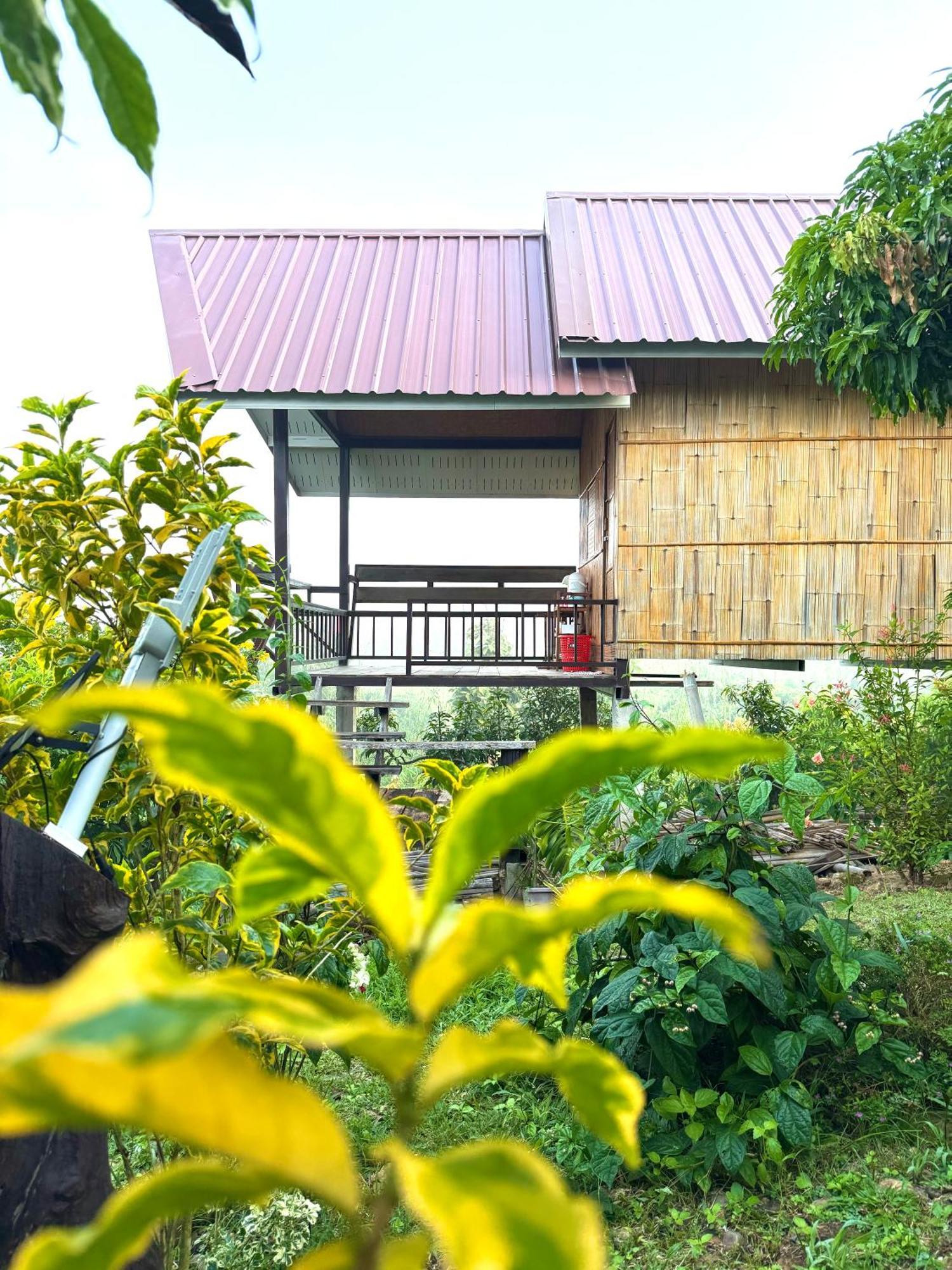 Doicherngngam Home Stay Чианг Дао Екстериор снимка