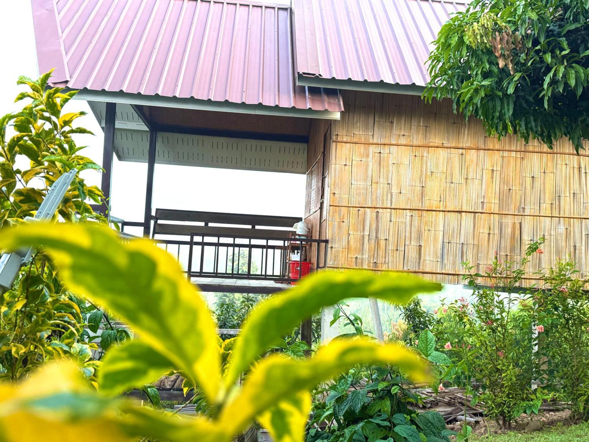 Doicherngngam Home Stay Чианг Дао Екстериор снимка